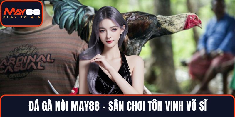 Đá gà nòi MAY88