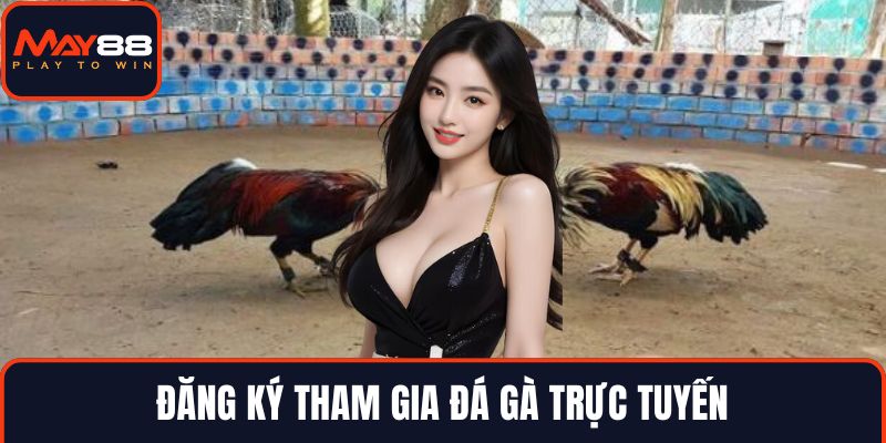 Đăng ký tham gia đá gà trực tuyến