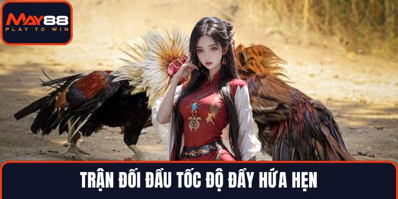 Trận đối đầu tốc độ đầy hứa hẹn
